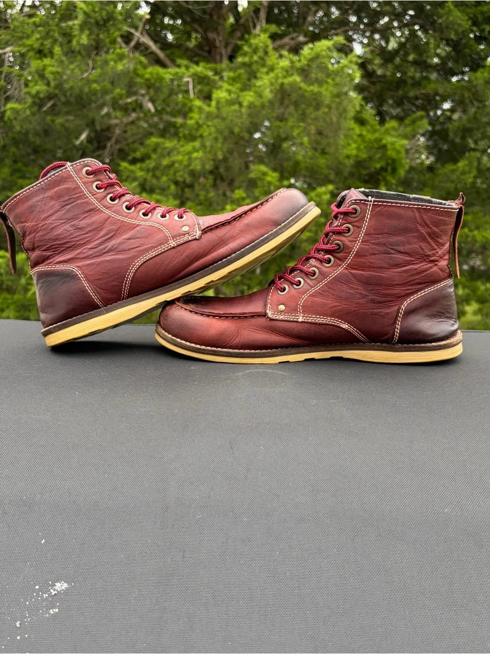 Crevo rich burgundy